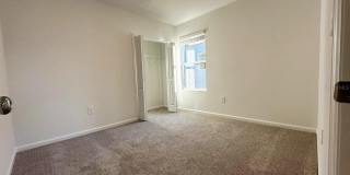 339 PUMA LOOP Gallery 17