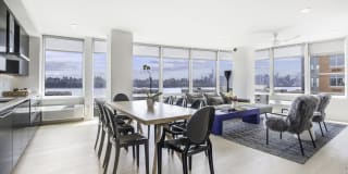 The Duchess Gallery 13