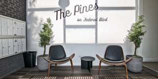 The Pines Gallery 10