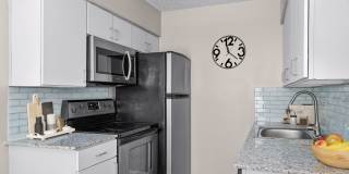 605 W Hutchison Gallery 14