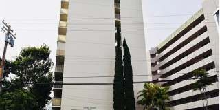 RARELY AVAILABLE 1 Bedroom, 1 Bath top floor corner unit in Makiki Colony! Gallery 6