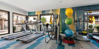 The Bella Gallery 15