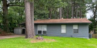 3 Bedroom, 1 Bath Gallery 15