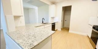 1323 windermere Way Gallery 6