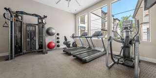 Haven at Midtown Gallery 21