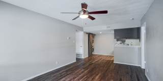 Establishment Gallery 25