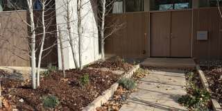 Silver Maple Stunning Gallery 3