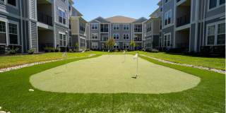 Altair At The Preserve Gallery 43