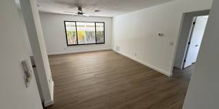 753 Tropical Circle Gallery 3