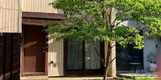 2294 WHITE CORNUS Lane Gallery 1