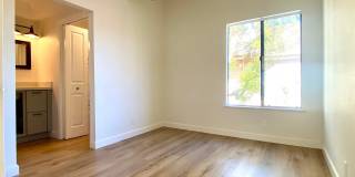 501 Orange Blossom Gallery 6