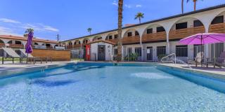 Aster on University Gallery 5