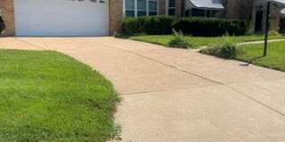253 Turf Gallery 3