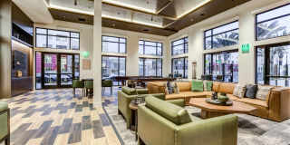 The Avalyn Gallery 17