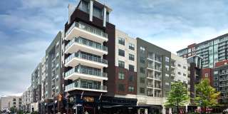 Pine Street Flats Gallery 33