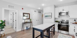 The James at Springline Gallery 9