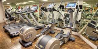 Sunset Barrington Gardens Gallery 12