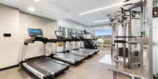 15 Morris Avenue Gallery 28