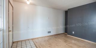 Beautiful One-Bedroom Apartment with Washer/Dryer Near CSU! Gallery 15