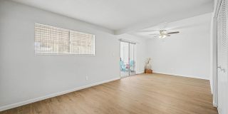 10141 N 97th Drive Gallery 14