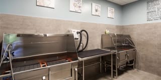 The Lindley Gallery 42