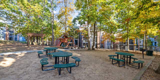 Cary Greens at Preston Gallery 49