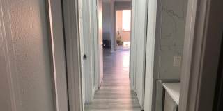 3254 Ashford St Gallery 8