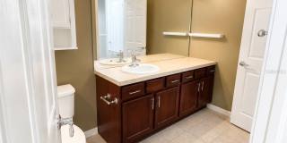 10222 PINK PALMATA COURT Gallery 23