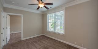 Red Knot at Edinburgh Gallery 18