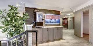 The Mark Alexandria Gallery 11