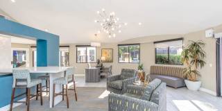 Vista Promenade Gallery 2