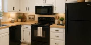 $1350 - 2/2/1 - Great Orange Park Location Gallery 4