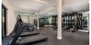 The DeMilo Gallery 17