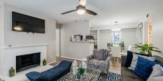 The Place Gallery 25