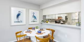 Solana Vista Gallery 37