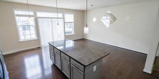 5004 FOREST PINES Drive Gallery 8