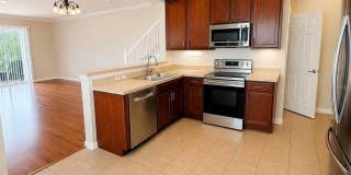 10222 PINK PALMATA COURT Gallery 4