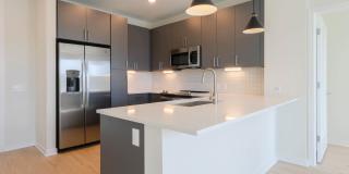 Alexan Harrison Apartments Gallery 134