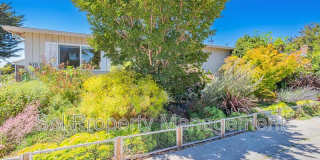 515 Cayuga Street Gallery 1