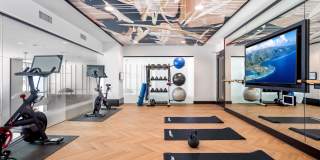 Broadstone Edition Gallery 20