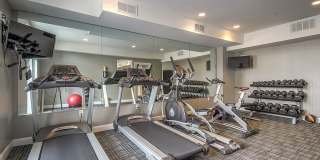 Moda Newhouse Moda Newhouse Gallery 28