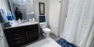 The Elysian Gallery 304