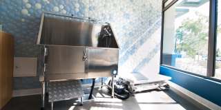 Cadence Apartments Gallery 6