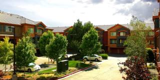 Regency Park Gallery 1
