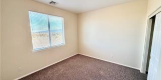 4467 E Dandelion Street Gallery 13