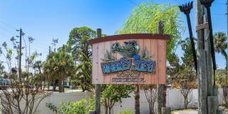 8211 BRENT STREET Gallery 51