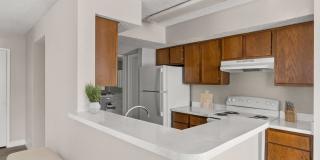 Cielo on Gilbert Gallery 7