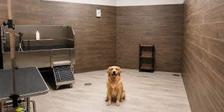 Bonavia Luxury Apartments Gallery 26