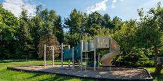 Tuscarora Creek Gallery 13