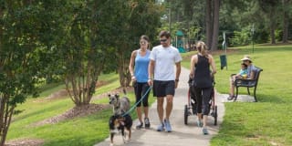 The Keswick Gallery 52